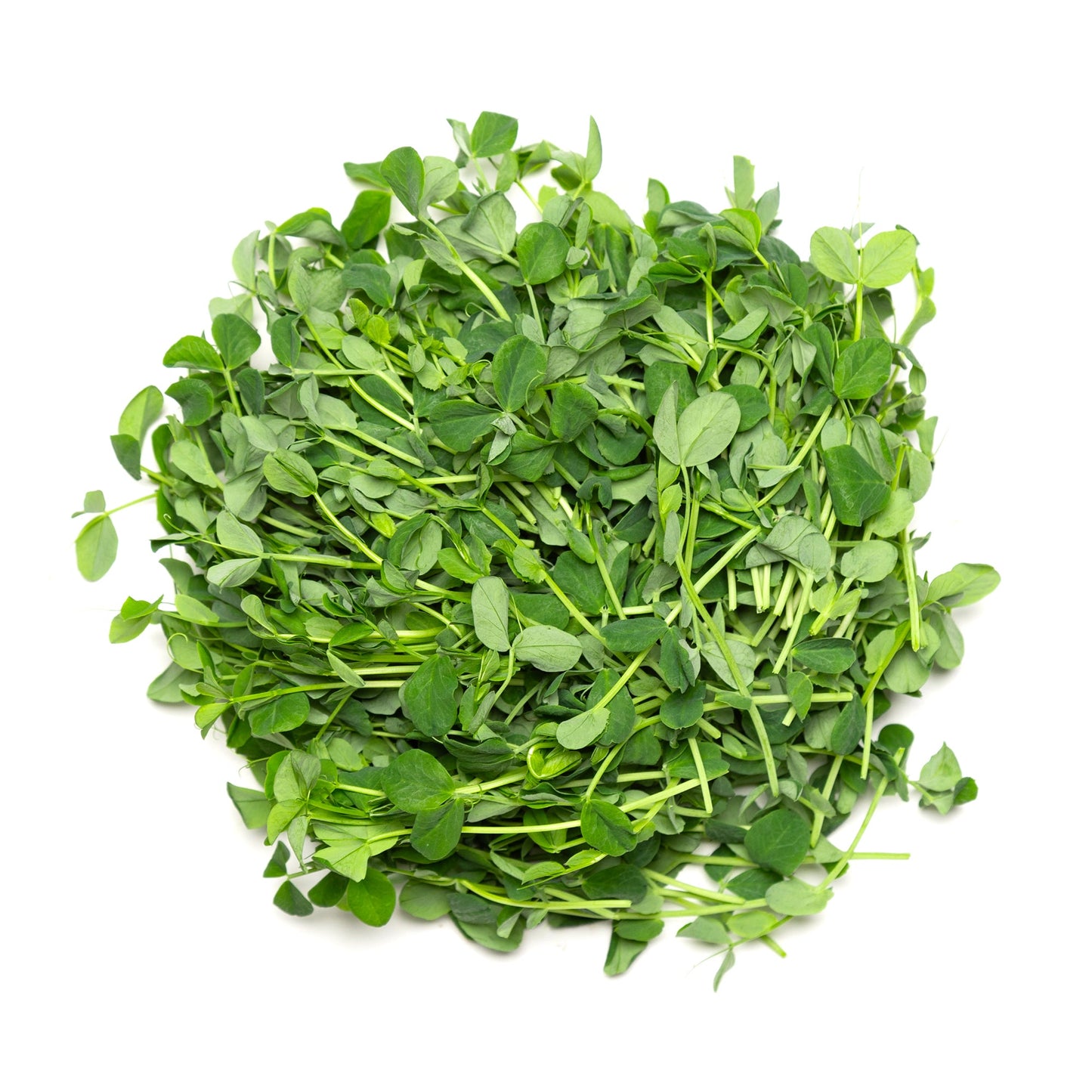 Boosterpack - Redfrog Lab