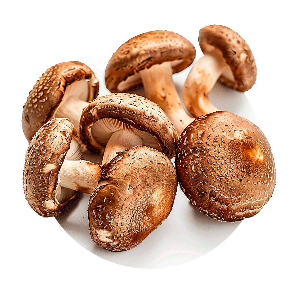 Champignons (mixtes) - Redfrog Lab
