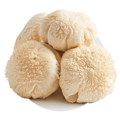 Lion's mane