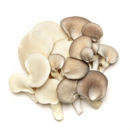 Champignons (mixtes) - Redfrog Lab