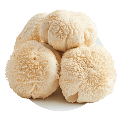 Champignons (mixtes) - Redfrog Lab