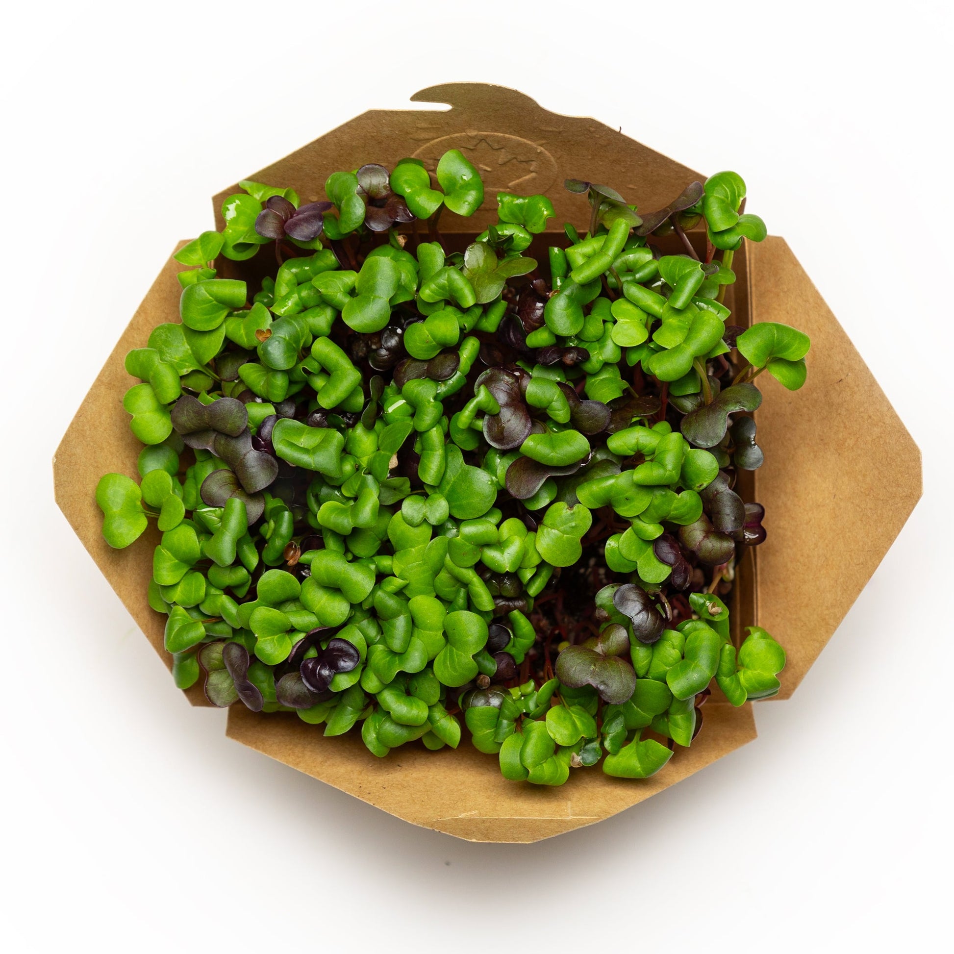 Radis 50g - Redfrog Lab