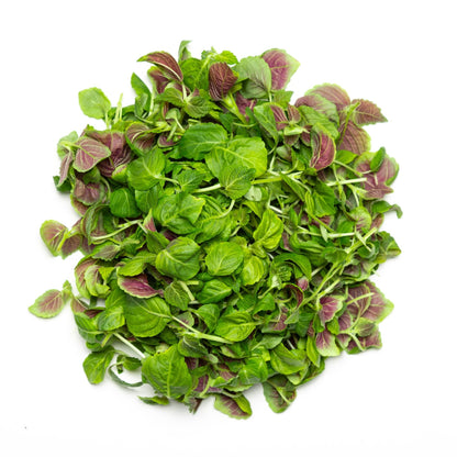 Shiso - Redfrog Lab
