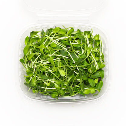 Tournesol 65g - Redfrog Lab