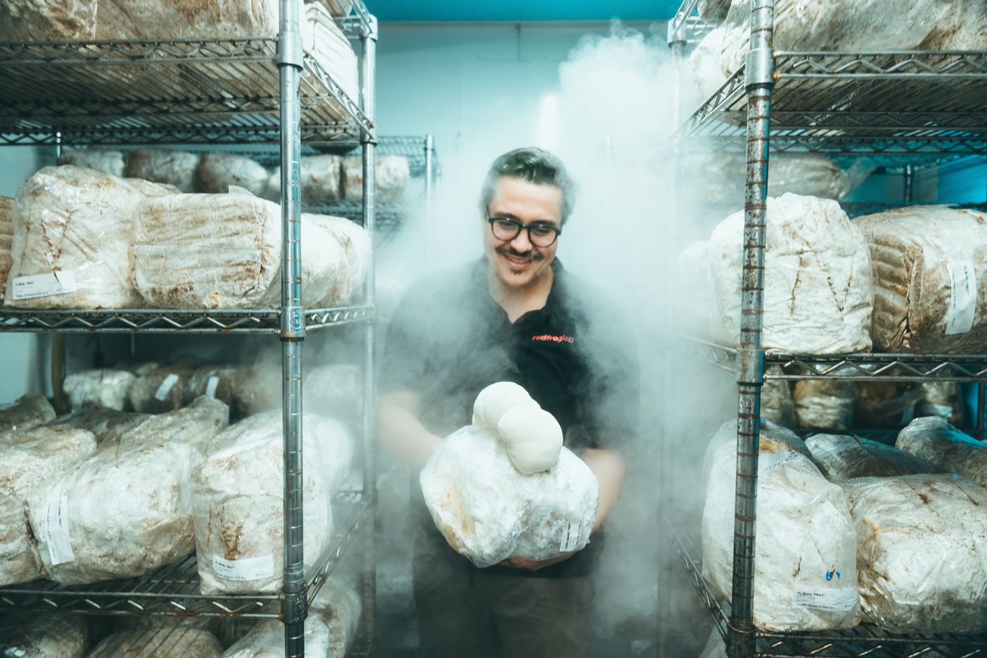 Gabriel, co-founder of Red Frog Lab, in the mushroom grow room on Chabanel Street, holding a cluster of lion's mane